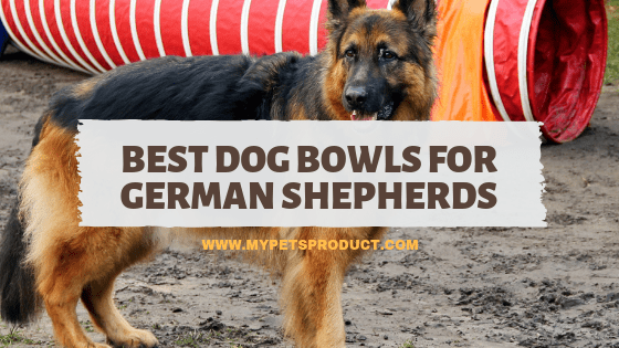 Best Dog Bowls for German Shepherds
