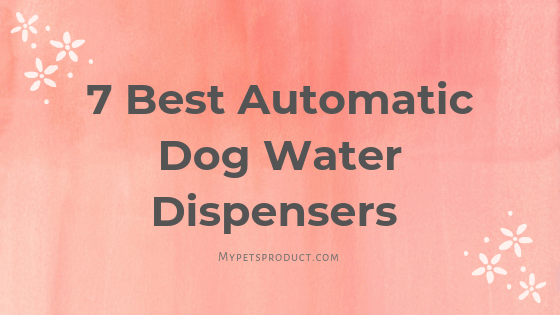 Automatic dog water bowl