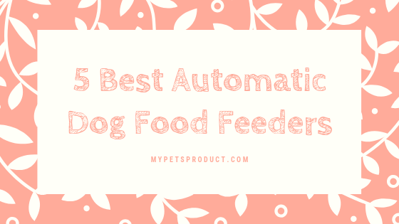 Automatic dog food feeder