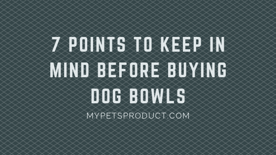 Points to keep in mind before buying dog bowls