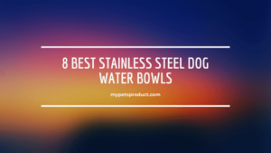stainless steel dog water bowl