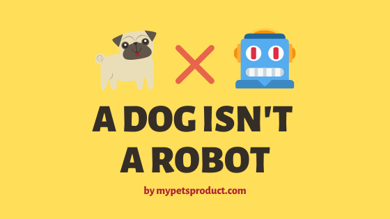 dog is not robot