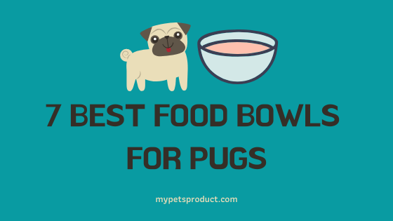 7 Best Food Bowls for Pugs to Buy in 2020