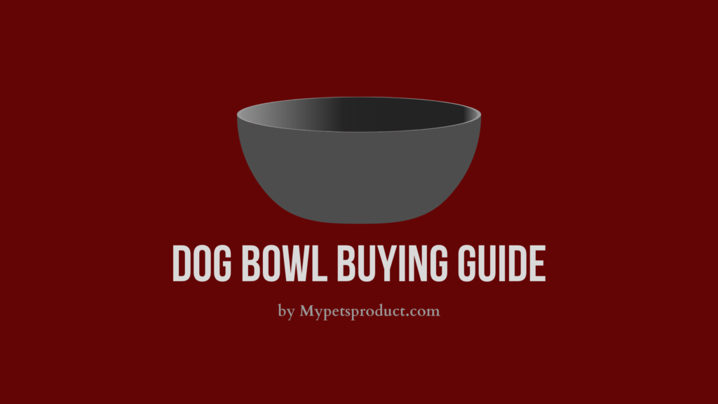 Dog bowl buying guide