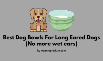 Best Dog Bowls For Long Eared Dogs