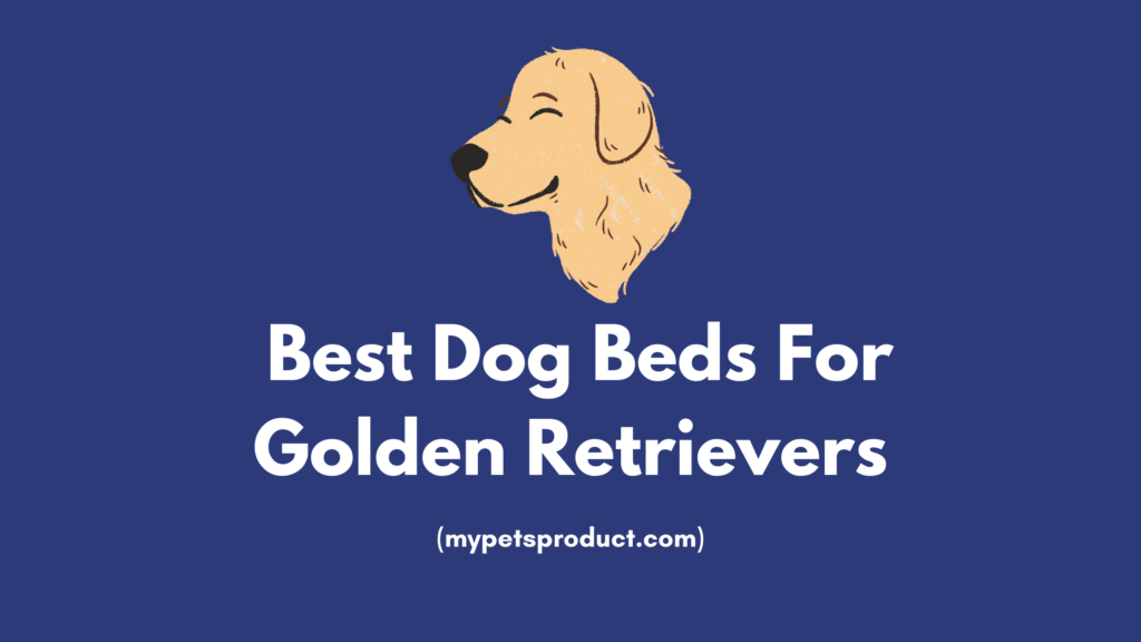 best dog beds for golden retrievers