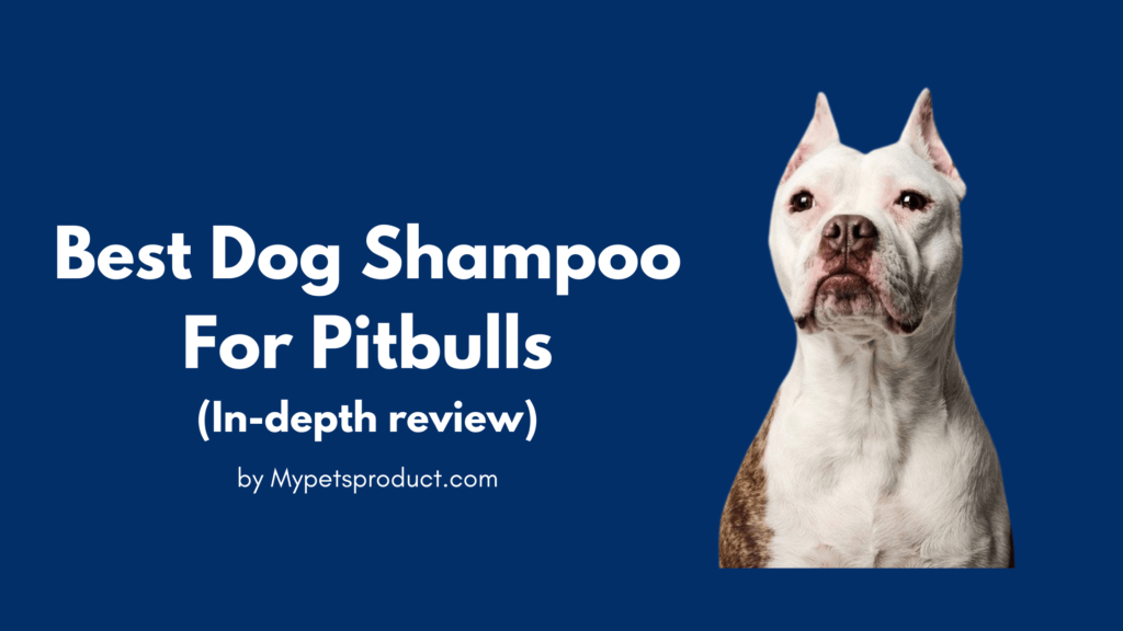 Best Dog Shampoo For Pitbulls