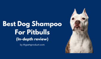 Best Dog Shampoo For Pitbulls
