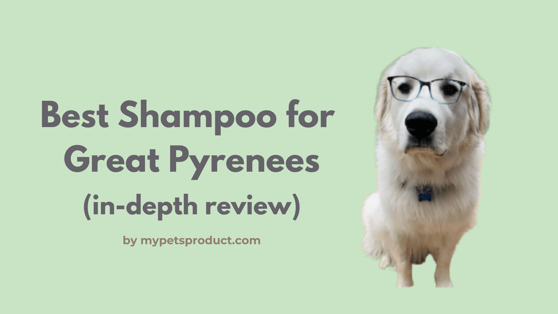 best shampoo for great pyrenees