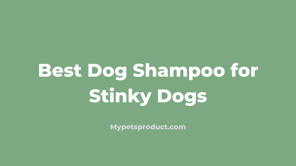 Best Shampoo for Stinky Dog