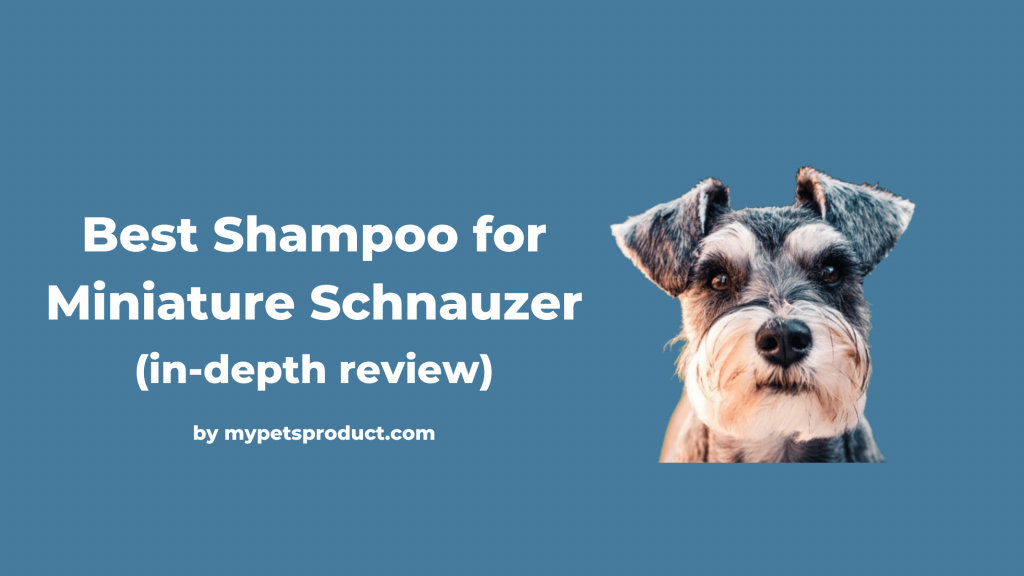best shampoo for miniature schnauzer