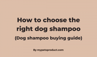 dog shampoo buying guide