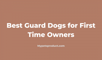Best Guard Dog for First Time Owner